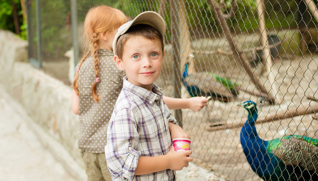 Copii la zoo